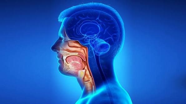 Head & Neck - Radiation Oncology Care by Dr. Sarthak Kumar Mohanty in Rajkot, Gujarat